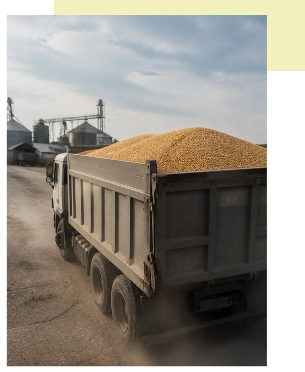 Перевозка сельхозпродукции навалом в Иваново по цене от 3100 р. | Агросервис-Внв
